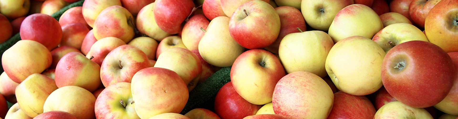 Äpfel aus der Region.